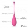 Набор вагинальных шариков FEMMEFIT ADVANCED, 6 шт 281455 Feelztoys