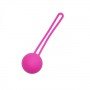 Вагинальный шарик Silicone Ben Wa Ball, Pink 270001 EasyToys