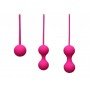 Набор вагинальных шариков Silicone Ben Wa Balls, Pink 270003 EasyToys