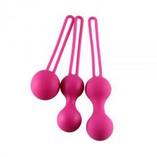 Набор вагинальных шариков Silicone Ben Wa Balls, Pink 270003