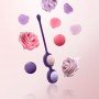 Вагинальные шарики CORAL ROSE 281461 Feelztoys