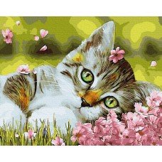 Картина по номерам Котенок в цветочках 40х50 BRM34634 Rainbow Art