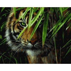 Картина по номерам Взгляд хищника 40х50 BK-GX7418 Rainbow Art