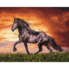 Картина по номерам Черный конь 40х50 BRM34880 Rainbow Art