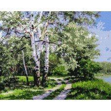 Картина по номерам Родные березки 40х50 BK-GX7487 Rainbow Art