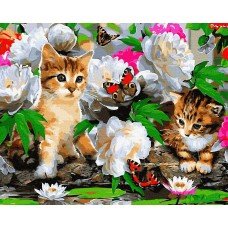 Картина по номерам Котята с бабочками 40х50 BRM8285 Rainbow Art