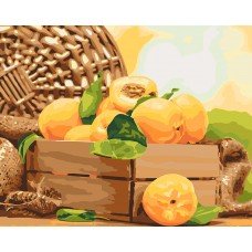 Картина по номерам Золотистый абрикос 40х50 KH5565 Идейка