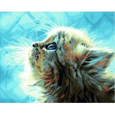 Картина по номерам Голубоглазый котенок 40х50 BK-GX22449 Brushme