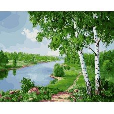 Картина по номерам Берёзки у реки 40х50 BK-GX24184 Rainbow Art