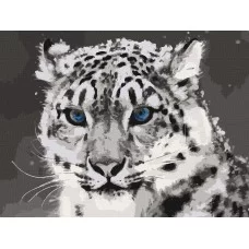 Картина по номерам. Art Craft "Синеглазый ирбис" 40*50 см 11609-AC