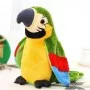 Говорящий попугай повторюшка Зеленый Parrot Talking