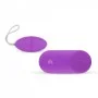 Виброяйцо Easytoys Remote Control, Purple 281480 EasyToys