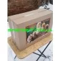 Инкубатор Курочка Ряба ИБ-60 автомат 60 яиц